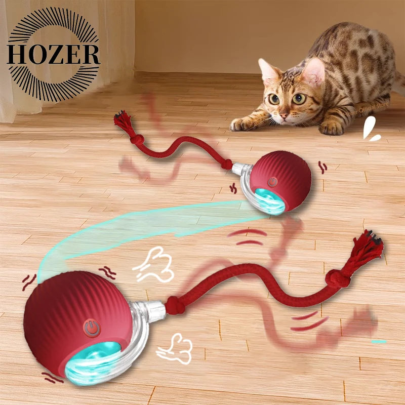 🐾 Scoopi Balle