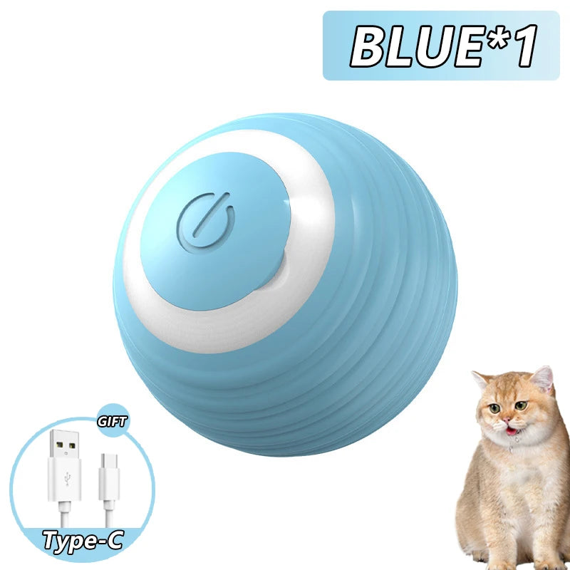 🐾 Scoopi Balle